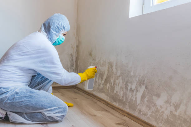 Hvac And Air Duct Mold Remediation inspection of HVAC system in Kimberton